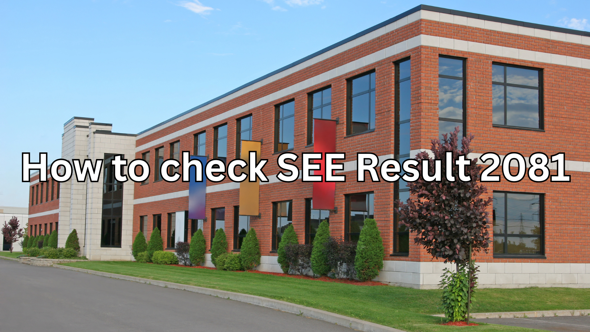 How to Check SEE Result 2081 (2025) in Nepal – Complete Guide